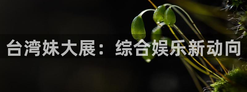 彩名堂官网免费下载