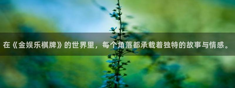 彩名堂计划旧版本