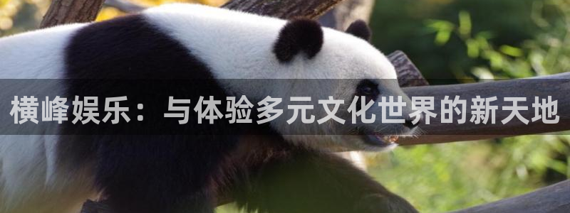 彩名堂